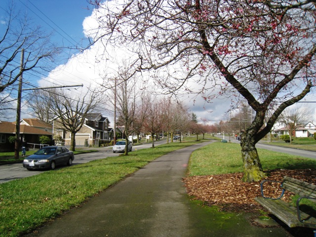 Trail in the middle of Beacon Ave
